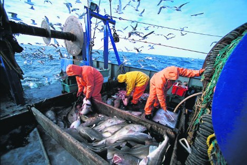 Leapfrogging SA economy, transformation