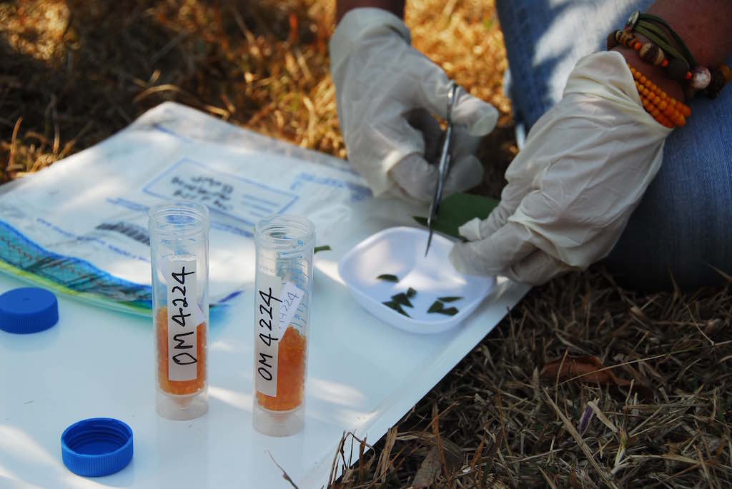 The fight to bring a deadly illegal industry to justice