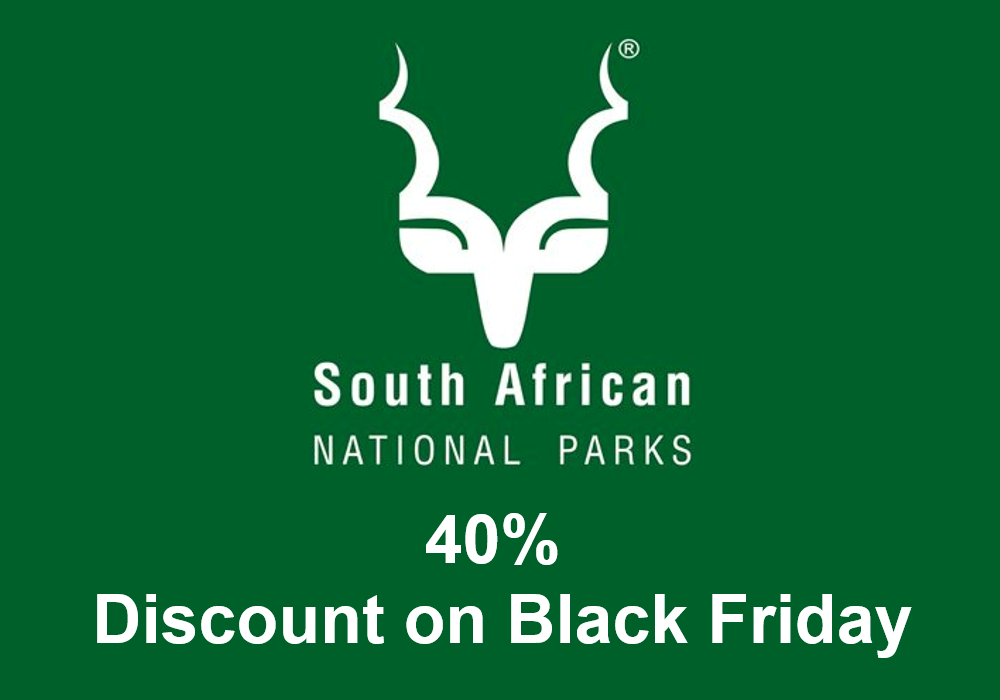 40% Discount on Black Friday