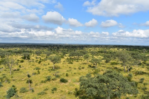 Crucial Milestone for Ecosystems Research in South Africa