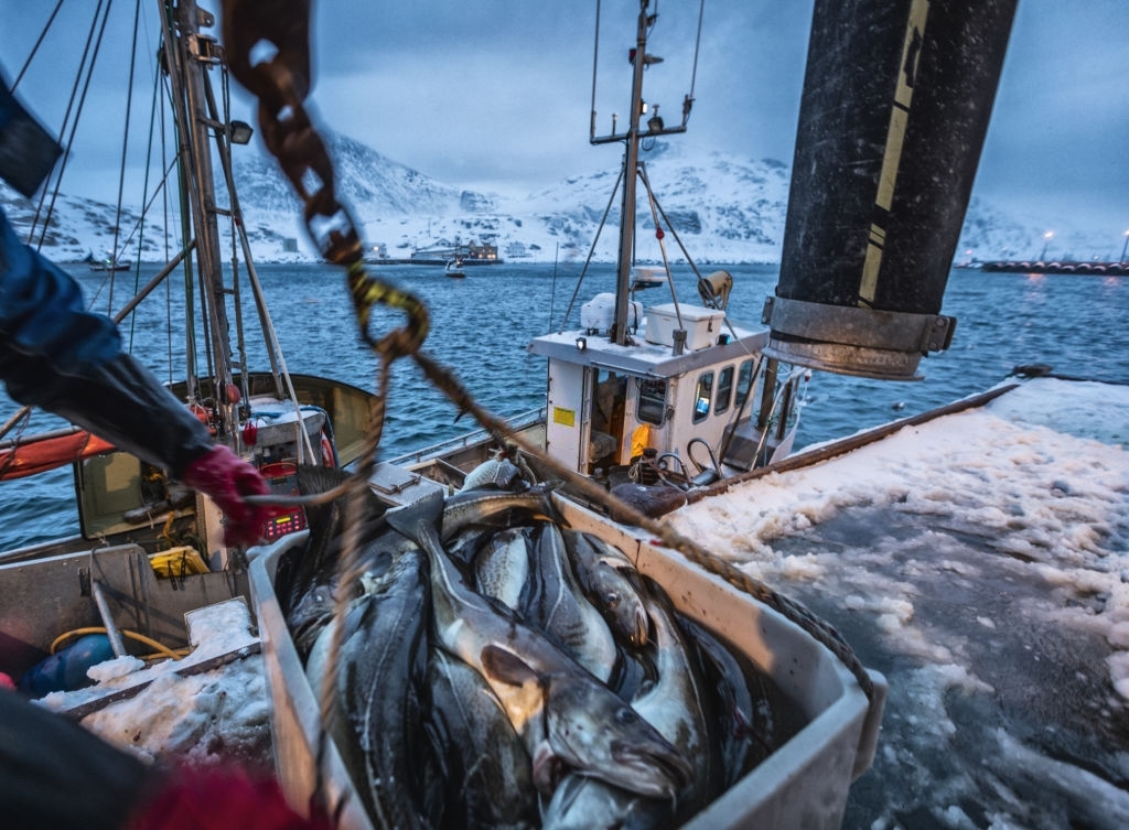 A new study calls for effective fisheries management systems to preserve fish populations