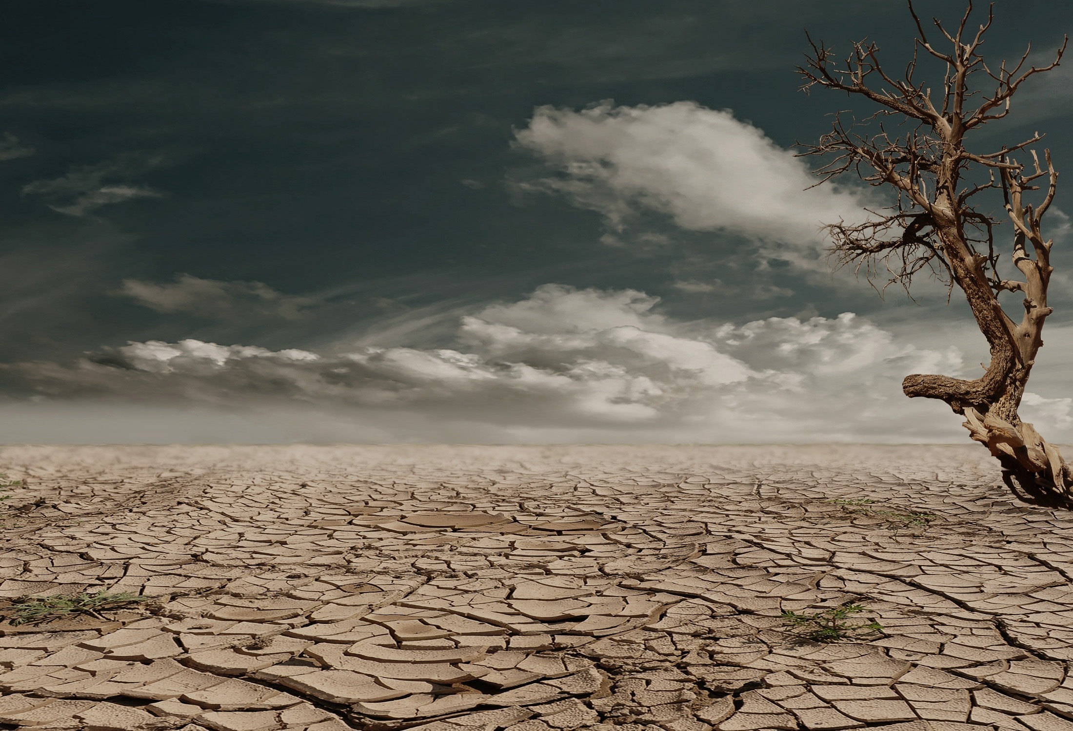 University of Pretoria’s academics call for the involvement of local communities to help South African cities adapt to climate change