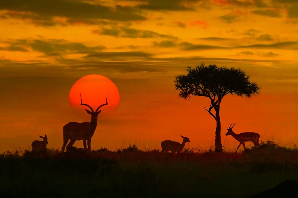 SANParks Welcomes The Constitutional Order For Skukuza Regional Court