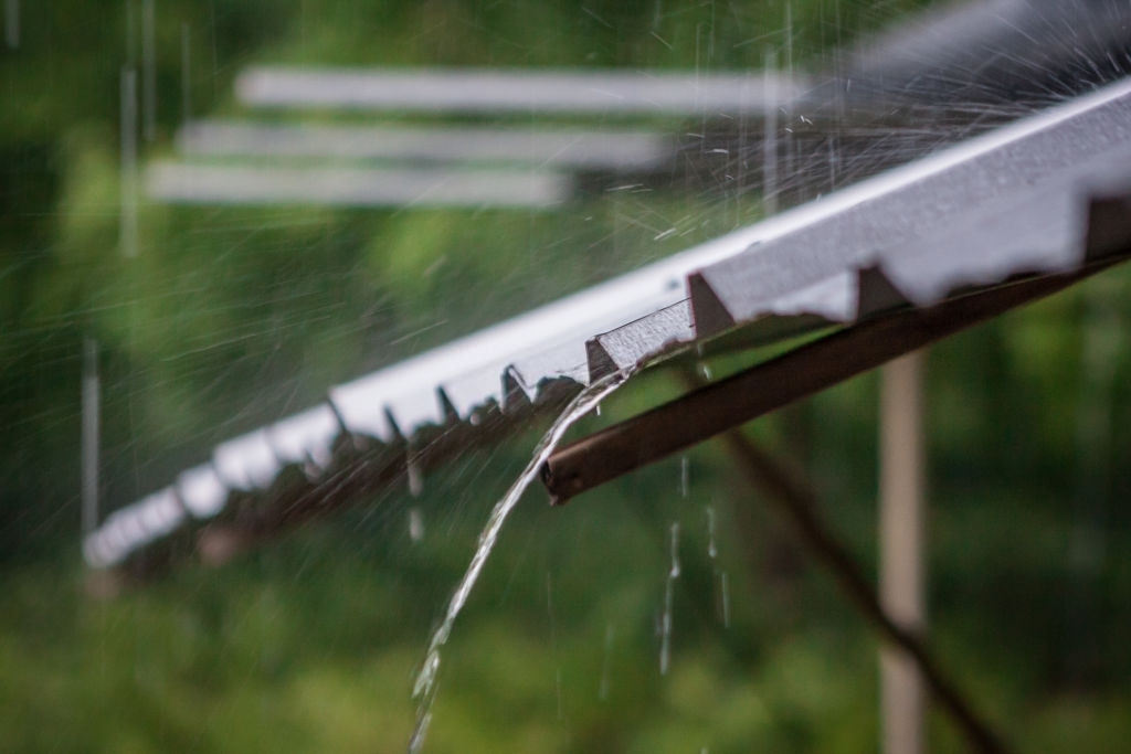 Experts warn the recent good rains could lead to an outbreak of Rift Valley Fever