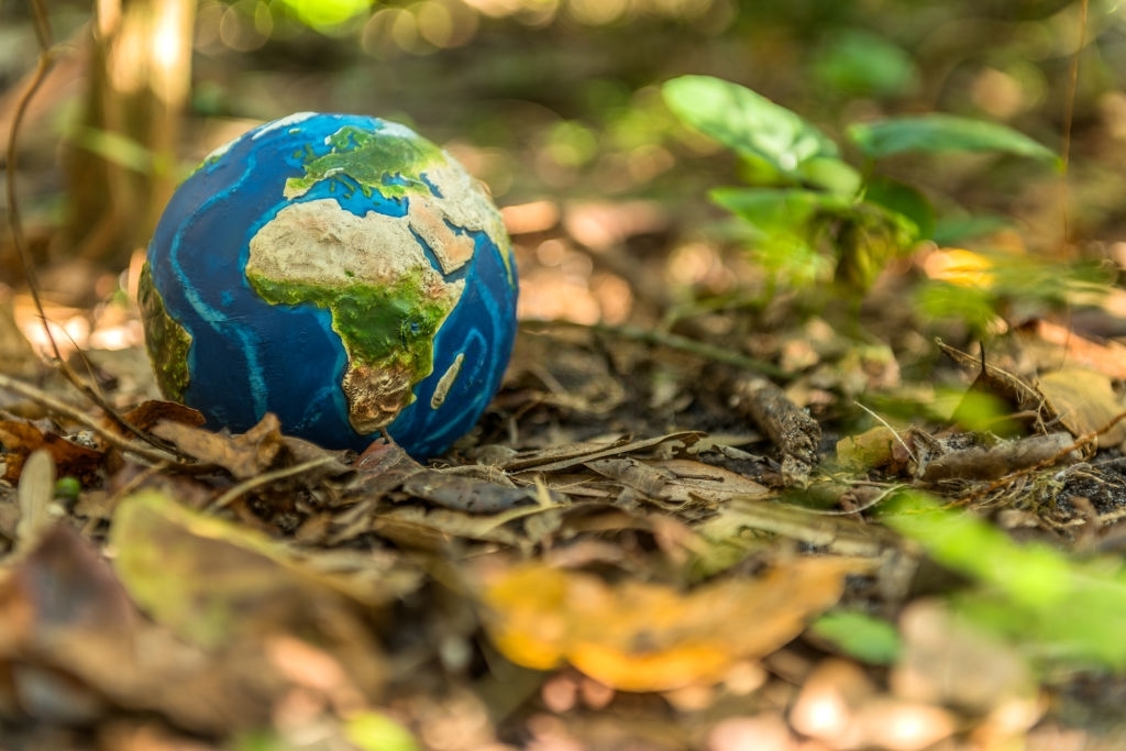 Every day should be EARTH DAY