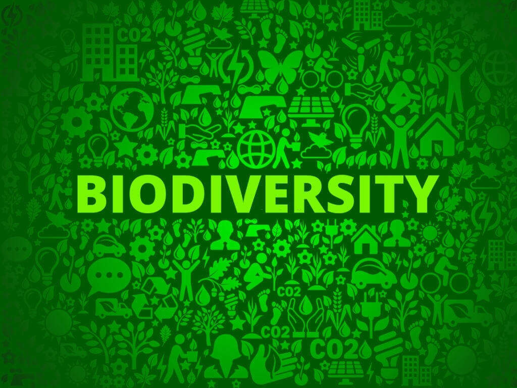 SA’s Wildlife Economy Programme receives boost on International Day for Biological Diversity
