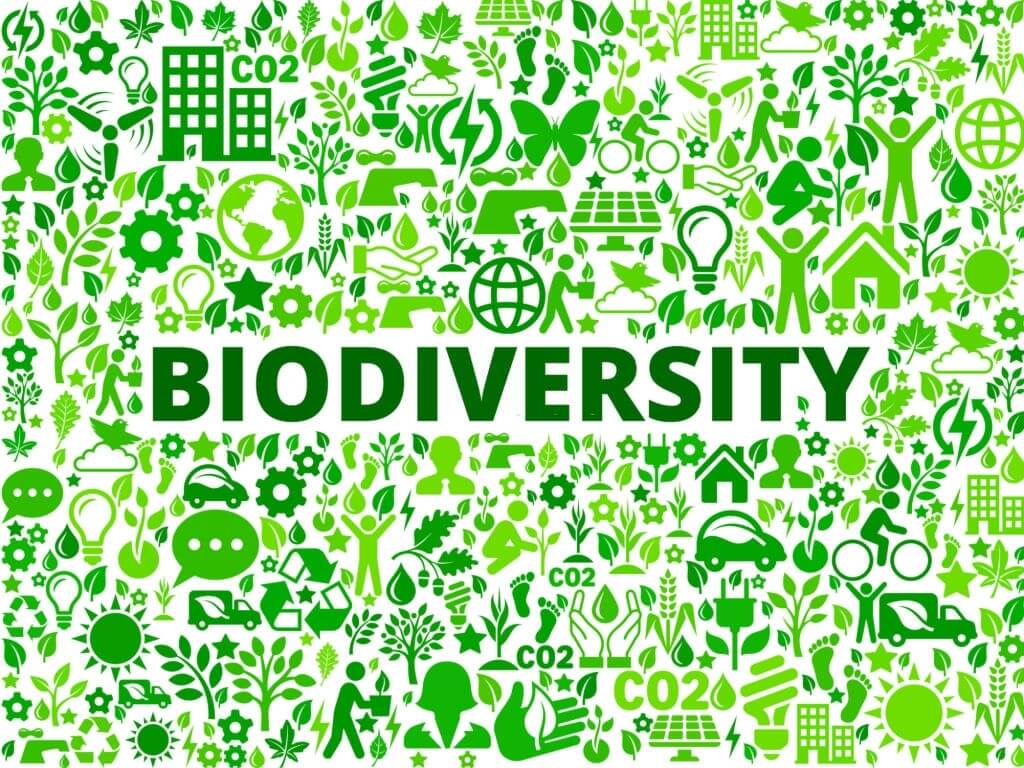 Global experts call for accelerated action to save Africa’s rich biodiversity