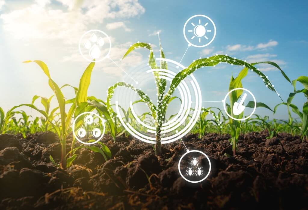 Agricultural innovation the answer to Africa’s economic prosperity