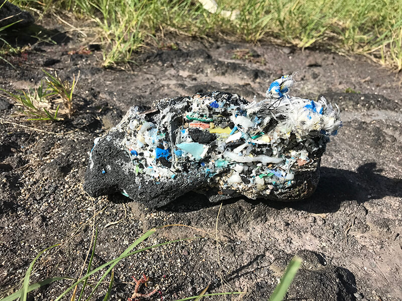 Mysterious fossil found on Camps Bay Beach