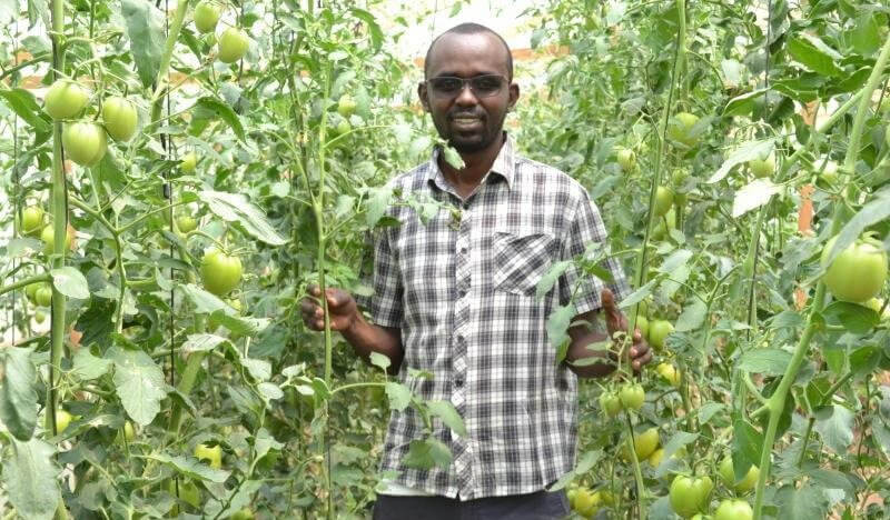 Young entrepreneur a driving force in agri industry in Africa