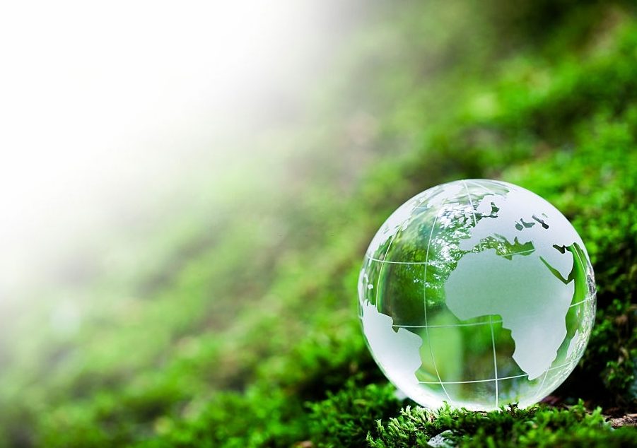 Greening Africa becomes paramount for survival