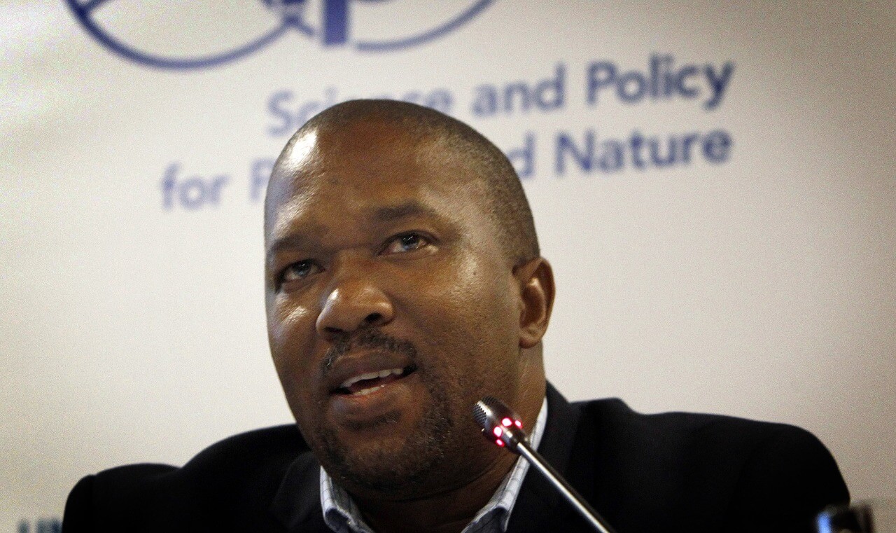 Dr Luthando Dziba