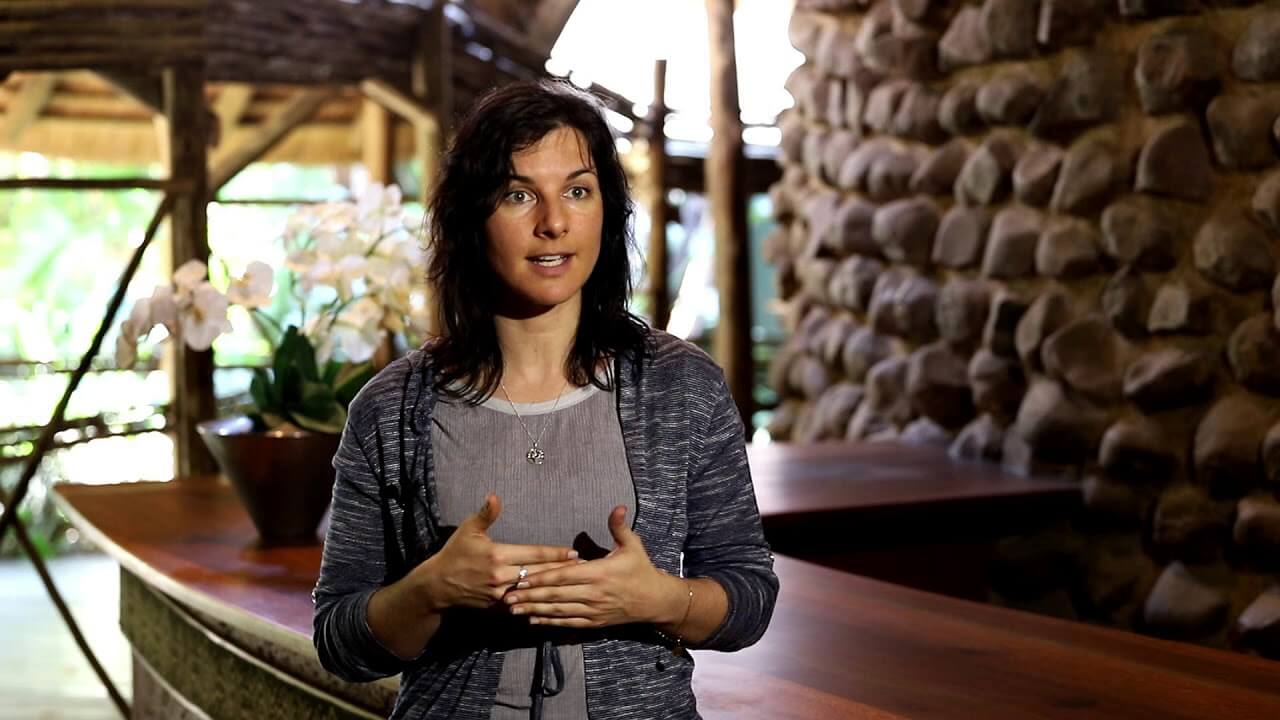 Green economy should form the basis for economic recovery