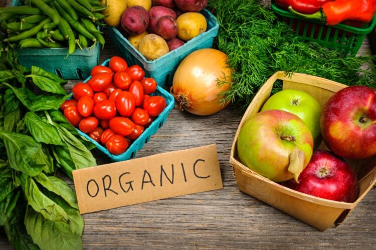 North African farmers paving the way in organic production