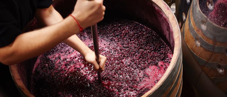 Partnership aimed at promoting black emerging winemakers