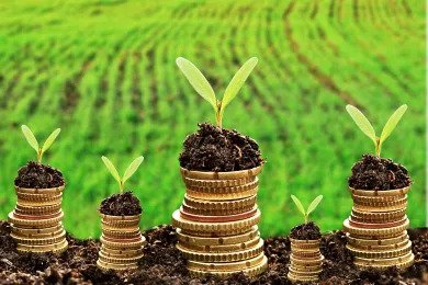 Emerging markets - African green investment ensures highest returns