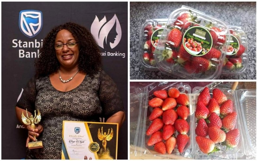 Feeding the locals and the world with fresh strawberries