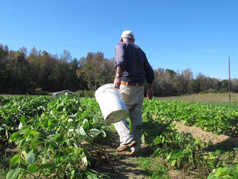 Turning small struggling farms into lucrative business enterprises