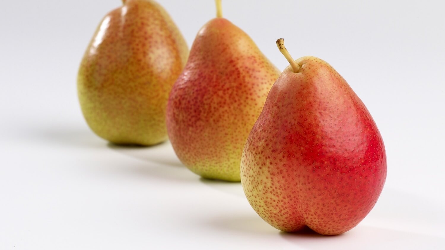 South Africa signs a protocol to increase pear exports to China
