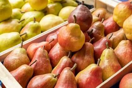 South Africa signs a protocol to increase pear exports to China