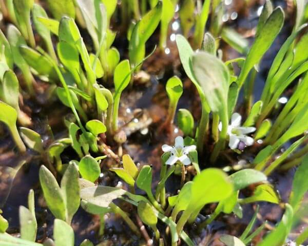 World Wetland Day brings RAMSAR to SA