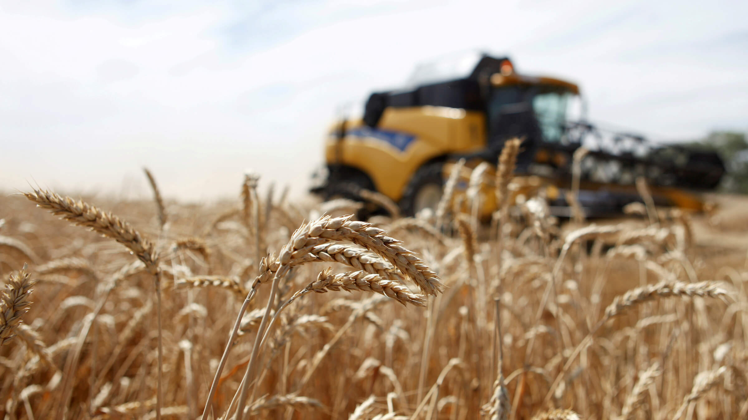The Russia-Ukraine conflict and African food supplies