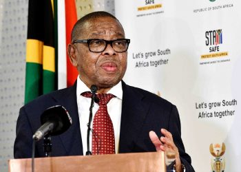 Nzimande supports green techno drive