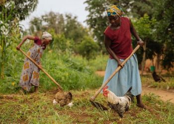 Empowering rural women to end poverty