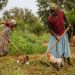 Empowering rural women to end poverty