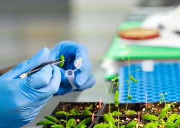 Natural COVID meds trial approved