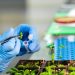 Natural COVID meds trial approved