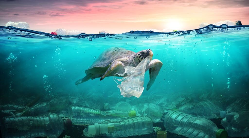 Micro plastics are moving germs around our oceans