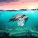 Micro plastics are moving germs around our oceans