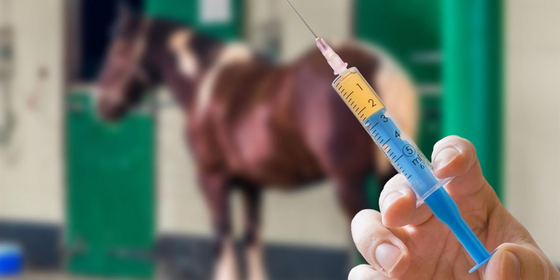 Farmers and horse owners are urged to vaccinate their horses for AHS