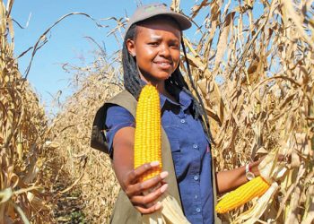 Greening Afrika