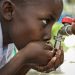 5 ways to start fixing SA’s deteriorating water quality