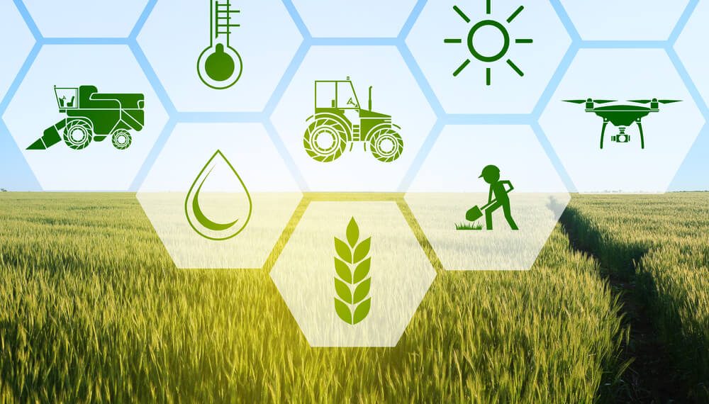 Collaborating on climate-smart agriculture in South Africa