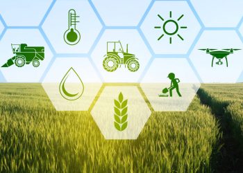 Collaborating on climate-smart agriculture in South Africa