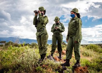 Celebrating conservation heroes across the globe for World Ranger Day