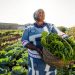 Africa’s new harvest