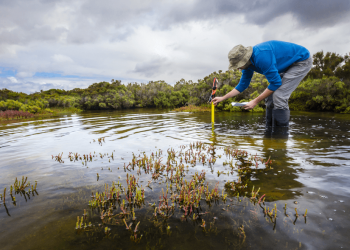 Farmers warned about another wet season that could spoil harvest