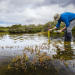 Farmers warned about another wet season that could spoil harvest