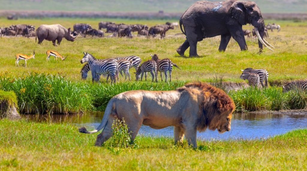 SA’s National Parks Week 2022