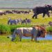 SA’s National Parks Week 2022