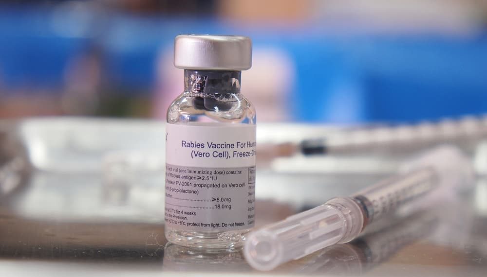The Northern Cape aims for ten thousand mark in rabies vaccination.