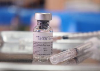The Northern Cape aims for ten thousand mark in rabies vaccination.