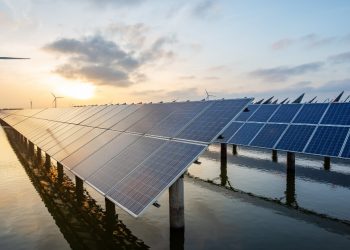 Why businesses are turning to renewables such as solar to make a positive impact on the world