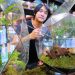 First functional greenhouse launches inside a mall in South Africa