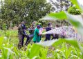 Rwanda - a Pacesetter to Combat Climate Change