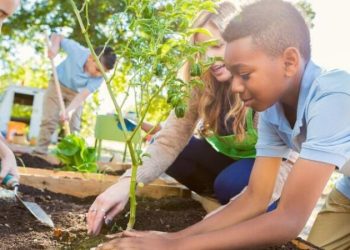 IDE 2023 prioritises Climate Education